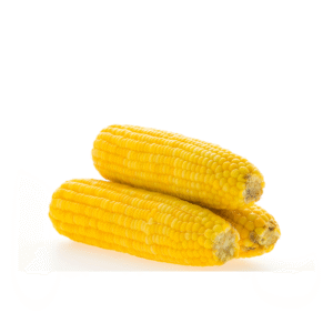 Sweet Corn Cob