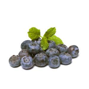 Organically Grown Blueberr - 100 g